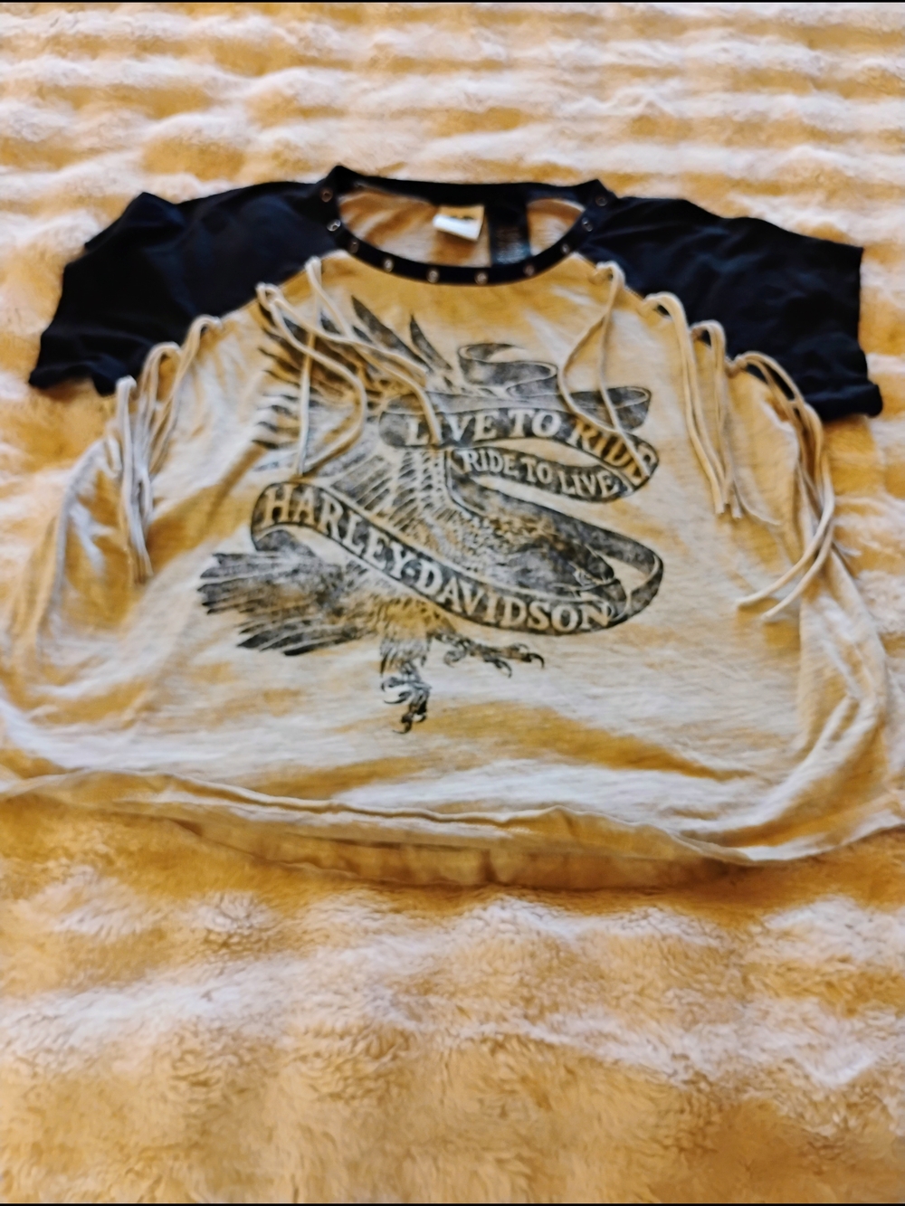 Harley-Davidson Black and Cream Fringe Eagle Graphic Tee